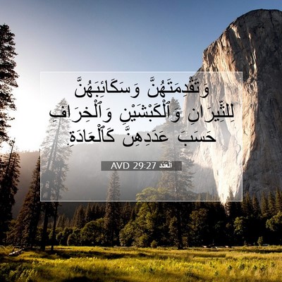 Picture 07 - اَلْعَدَد 29:27 AVD - وَتَقْدِمَتَهُنَّ - Bible Verse Picture