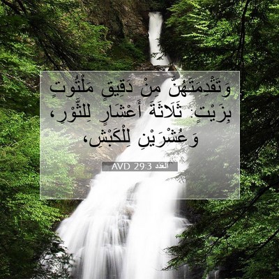 Picture 07 - اَلْعَدَد 29:3 AVD - وَتَقْدِمَتَهُنَّ مِنْ - Bible Verse Picture