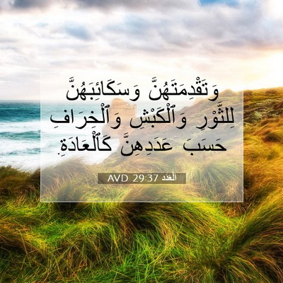 Picture 07 - اَلْعَدَد 29:37 AVD - وَتَقْدِمَتَهُنَّ - Bible Verse Picture
