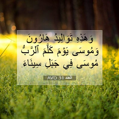 Picture 07 - اَلْعَدَد 3:1 AVD - وَهَذِهِ تَوَالِيدُ - Bible Verse Picture