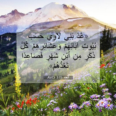 Picture 07 - اَلْعَدَد 3:15 AVD - «عُدَّ بَنِي لَاوِي حَسَبَ - Bible Verse Picture