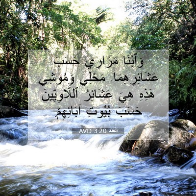 Picture 07 - اَلْعَدَد 3:20 AVD - وَٱبْنَا مَرَارِي حَسَبَ - Bible Verse Picture