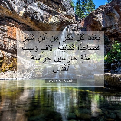 Picture 07 - اَلْعَدَد 3:28 AVD - بِعَدَدِ كُلِّ ذَكَرٍ مِنِ - Bible Verse Picture