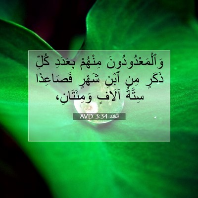 Picture 07 - اَلْعَدَد 3:34 AVD - وَٱلْمَعْدُودُونَ - Bible Verse Picture