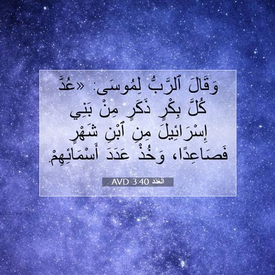 Picture 07 - اَلْعَدَد 3:40 AVD - وَقَالَ ٱلرَّبُّ لِمُوسَى: - Bible Verse Picture