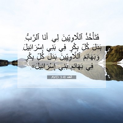 Picture 07 - اَلْعَدَد 3:41 AVD - فَتَأْخُذُ ٱللَّاوِيِّينَ - Bible Verse Picture
