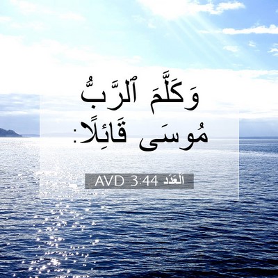 Picture 07 - اَلْعَدَد 3:44 AVD - وَكَلَّمَ ٱلرَّبُّ مُوسَى - Bible Verse Picture