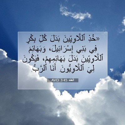 Picture 07 - اَلْعَدَد 3:45 AVD - «خُذِ ٱللَّاوِيِّينَ - Bible Verse Picture