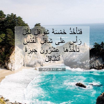 Picture 07 - اَلْعَدَد 3:47 AVD - فَتَأْخُذُ خَمْسَةَ - Bible Verse Picture