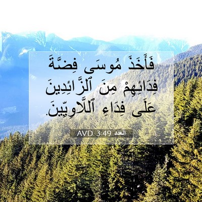Picture 07 - اَلْعَدَد 3:49 AVD - فَأَخَذَ مُوسَى فِضَّةَ - Bible Verse Picture