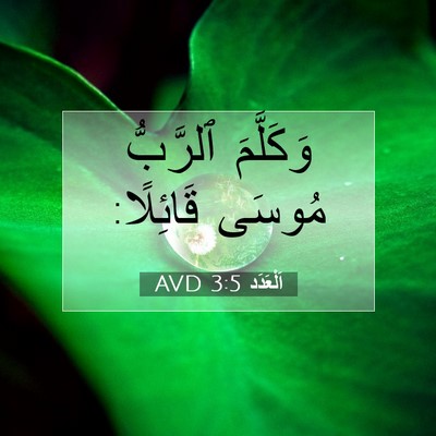 Picture 07 - اَلْعَدَد 3:5 AVD - وَكَلَّمَ ٱلرَّبُّ مُوسَى - Bible Verse Picture