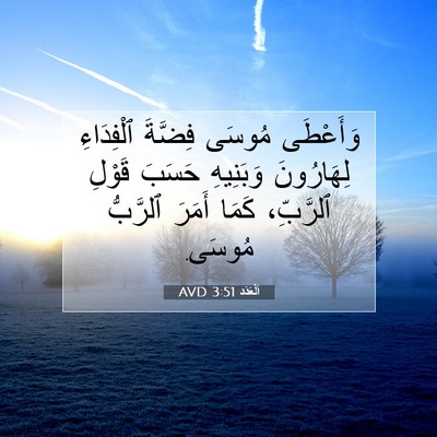 Picture 07 - اَلْعَدَد 3:51 AVD - وَأَعْطَى مُوسَى فِضَّةَ - Bible Verse Picture