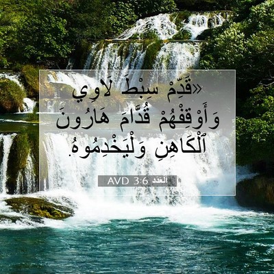Picture 07 - اَلْعَدَد 3:6 AVD - «قَدِّمْ سِبْطَ لَاوِي - Bible Verse Picture