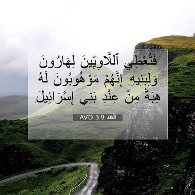Picture 07 - اَلْعَدَد 3:9 AVD - فَتُعْطِي ٱللَّاوِيِّينَ - Bible Verse Picture