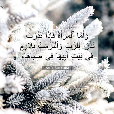 Picture 07 - اَلْعَدَد 30:3 AVD - وَأَمَّا ٱلْمَرْأَةُ - Bible Verse Picture