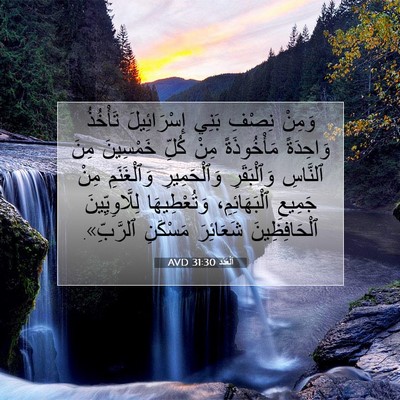 Picture 07 - اَلْعَدَد 31:30 AVD - وَمِنْ نِصْفِ بَنِي - Bible Verse Picture