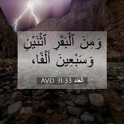 Picture 07 - اَلْعَدَد 31:33 AVD - وَمِنَ ٱلْبَقَرِ - Bible Verse Picture