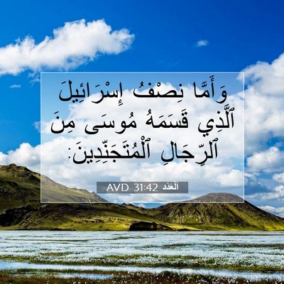 Picture 07 - اَلْعَدَد 31:42 AVD - وَأَمَّا نِصْفُ - Bible Verse Picture