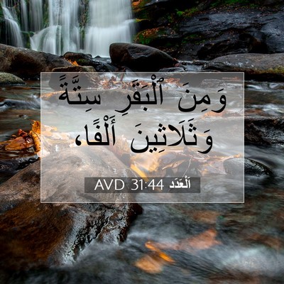 Picture 07 - اَلْعَدَد 31:44 AVD - وَمِنَ ٱلْبَقَرِ سِتَّةً - Bible Verse Picture
