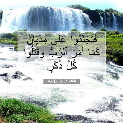 Picture 07 - اَلْعَدَد 31:7 AVD - فَتَجَنَّدُوا عَلَى - Bible Verse Picture