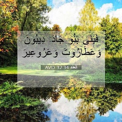 Picture 07 - اَلْعَدَد 32:34 AVD - فَبَنَى بَنُو جَادَ: - Bible Verse Picture