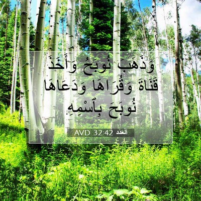 Picture 07 - اَلْعَدَد 32:42 AVD - وَذَهَبَ نُوبَحُ وَأَخَذَ - Bible Verse Picture