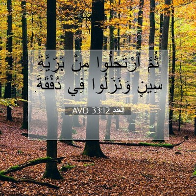 Picture 07 - اَلْعَدَد 33:12 AVD - ثُمَّ ٱرْتَحَلُوا مِنْ - Bible Verse Picture