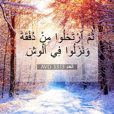Picture 07 - اَلْعَدَد 33:13 AVD - ثُمَّ ٱرْتَحَلُوا مِنْ - Bible Verse Picture