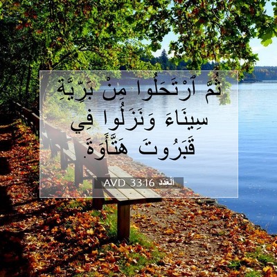 Picture 07 - اَلْعَدَد 33:16 AVD - ثُمَّ ٱرْتَحَلُوا مِنْ - Bible Verse Picture