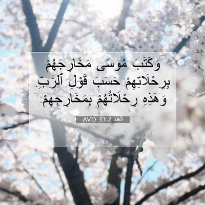 Picture 07 - اَلْعَدَد 33:2 AVD - وَكَتَبَ مُوسَى - Bible Verse Picture