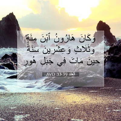 Picture 07 - اَلْعَدَد 33:39 AVD - وَكَانَ هَارُونُ ٱبْنَ - Bible Verse Picture