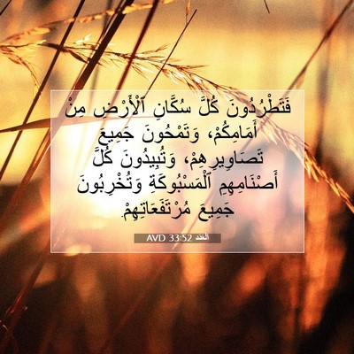Picture 07 - اَلْعَدَد 33:52 AVD - فَتَطْرُدُونَ كُلَّ - Bible Verse Picture