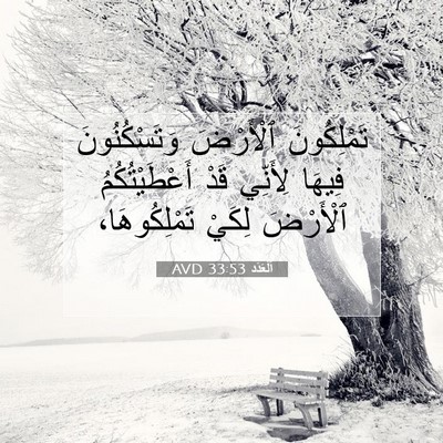 Picture 07 - اَلْعَدَد 33:53 AVD - تَمْلِكُونَ ٱلْأَرْضَ - Bible Verse Picture