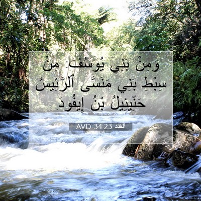 Picture 07 - اَلْعَدَد 34:23 AVD - وَمِنْ بَنِي يُوسُفَ: مِنْ - Bible Verse Picture