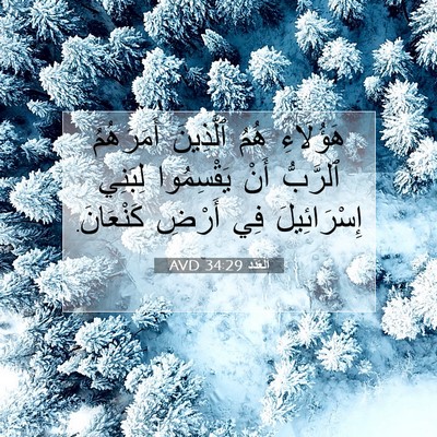 Picture 07 - اَلْعَدَد 34:29 AVD - هَؤُلَاءِ هُمُ ٱلَّذِينَ - Bible Verse Picture