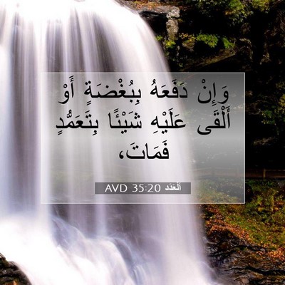 Picture 07 - اَلْعَدَد 35:20 AVD - وَإِنْ دَفَعَهُ - Bible Verse Picture