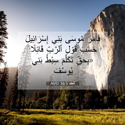 Picture 07 - اَلْعَدَد 36:5 AVD - فَأَمَرَ مُوسَى بَنِي - Bible Verse Picture