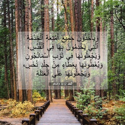 Picture 07 - اَلْعَدَد 4:12 AVD - وَيَأْخُذُونَ جَمِيعَ - Bible Verse Picture