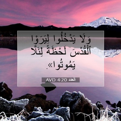Picture 07 - اَلْعَدَد 4:20 AVD - وَلَا يَدْخُلُوا - Bible Verse Picture