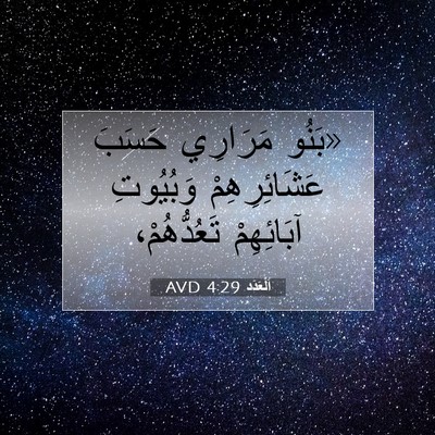Picture 07 - اَلْعَدَد 4:29 AVD - «بَنُو مَرَارِي حَسَبَ - Bible Verse Picture