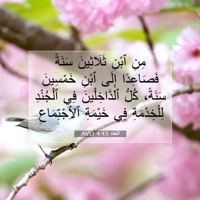 Picture 07 - اَلْعَدَد 4:43 AVD - مِنِ ٱبْنِ ثَلَاثِينَ - Bible Verse Picture