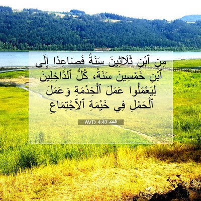 Picture 07 - اَلْعَدَد 4:47 AVD - مِنِ ٱبْنِ ثَلَاثِينَ - Bible Verse Picture