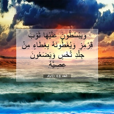 Picture 07 - اَلْعَدَد 4:8 AVD - وَيَبْسُطُونَ عَلَيْهَا - Bible Verse Picture