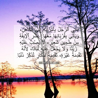 Picture 07 - اَلْعَدَد 5:15 AVD - يَأْتِي ٱلرَّجُلُ - Bible Verse Picture