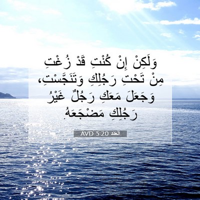 Picture 07 - اَلْعَدَد 5:20 AVD - وَلَكِنْ إِنْ كُنْتِ قَدْ - Bible Verse Picture