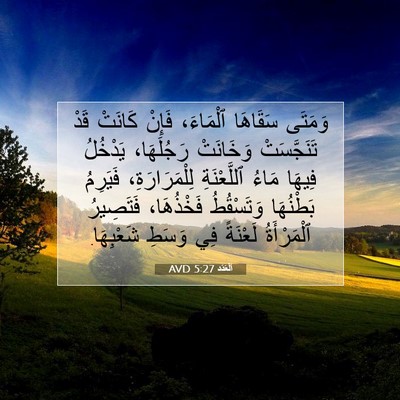 Picture 07 - اَلْعَدَد 5:27 AVD - وَمَتَى سَقَاهَا - Bible Verse Picture