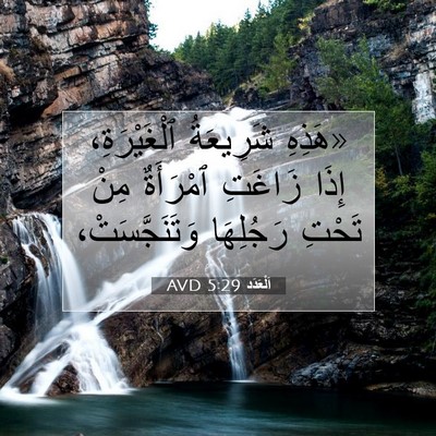 Picture 07 - اَلْعَدَد 5:29 AVD - «هَذِهِ شَرِيعَةُ - Bible Verse Picture