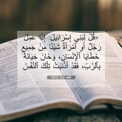 Picture 07 - اَلْعَدَد 5:6 AVD - «قُلْ لِبَنِي - Bible Verse Picture