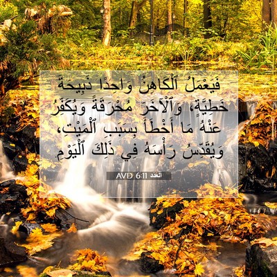 Picture 07 - اَلْعَدَد 6:11 AVD - فَيَعْمَلُ ٱلْكَاهِنُ - Bible Verse Picture