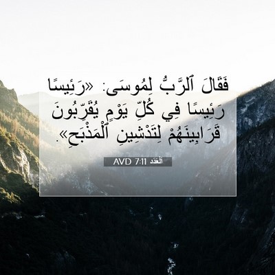 Picture 07 - اَلْعَدَد 7:11 AVD - فَقَالَ ٱلرَّبُّ لِمُوسَى: - Bible Verse Picture